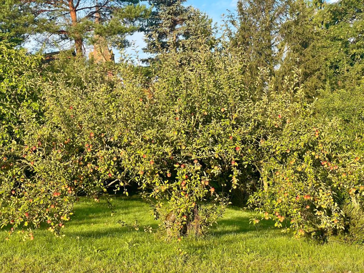 Villa Apple Tree House Lubin  Exterior foto